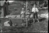 Kalle, Olle och Erik Gran