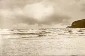 Havet vid Binz på ön Rügen, sommaren 1930 (enligt text i album).