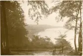 Utsikt över Binz på ön Rügen, sommaren 1930 (enligt text i album).