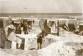Stranden i Binz på ön Rügen med strandkorgar som skydd mot vinden från östersjön, sommaren 1930 (enligt text i album).