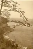 Rügen: Waldhalle, sommaren 1930 (enligt text i album).