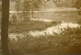 Vy över Schwarzer see är en sjö som ligger i de naturskyddade området Granitz på ön Rügen, sommaren 1930 (enligt text i album).