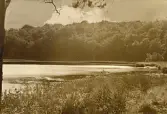Vy över Schwarzer see som är en sjö som ligger i de naturskyddade området Granitz på ön Rügen, sommaren 1930 (enligt text i album).
