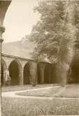 Innergården av Johanniskloster i Stralsund, sommaren 1930 (enligt text i album).