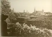 Utsikt från Japanisches Palais i Dresden, sommaren 1930 (enligt text i album).
