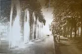 Dresden: Hygiene-ausstellung, sommaren 1930 (enligt text i album).