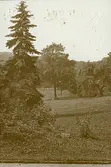 Prag: Petrín, sommaren 1930 (enligt text i album). Petrín är en kulle med stort grönområde som består av fyra olika parker och ett stort antal gångvägar. Källa: Google.