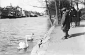 Strandpromenaden