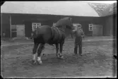 Gösta Svensson med häst