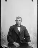 Ung man