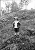 Gosse