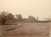 Herrgårdsmiljö kring Rottneby herrgård strax utanför Falun (enligt text i album).