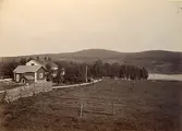 Vy över landsbyggsmiljö vid byn Tänger, Envikens socken, Falu kommun (enligt text i album).