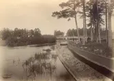 Timmerflottning vid Strömsbro, Gävle (enligt text i album).