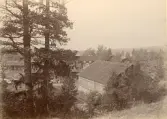 Vy över Katrineberg, Bollnäs (enligt text i album).
