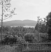 Finnbodarna, Falun. Sundborn. Mörberget och Håsjön från Finnbodarna.

