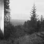 Rostberg, Falun. Sundborn. Från Rostbergs norra brant mot Svärdsjö.

