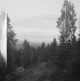 Rostberg, Falun. Sundborn. 

