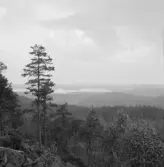 Ruptjärn, Falun. Sundborn. Råberget.

