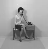 Telefonpall med modell