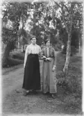 Vänninor