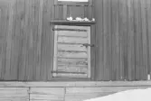 Borgmästaren 3. Byggnad III, detalj dörr.