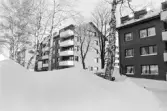 Notarien 5. Byggnad II och III. Översikt från väst.