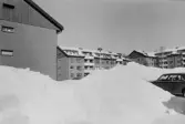 Notarien 5. Översikt från syd.