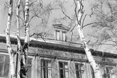 Fiskaren 3. Vindskupa.