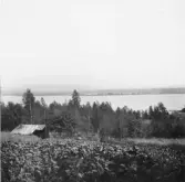 Hjulbäck, Östeviken, Hjortnäs och Plintsberg från Lissjons smedja t.v.

