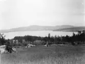 Alviken och Alvikens by från kyrkan.

