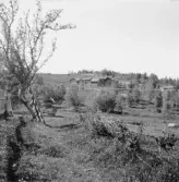 Bjursås, Falun. Sågbo.[Eller ska det vara Sågsbo?] Gronåsberget och Näs Erik i Sågbo.

