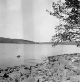 Bjursås, Falun. Sjön Rällsjön. Näset från Kattholmen.

