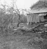 Bjursås, Falun. TallBrittas ödegård.

