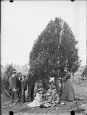 Sällskap