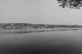 Fornlämning 51. Fornvårdsbesiktning. Utsikt från gravfältet.