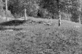 Fornlämning 107. Fornvårdsbesiktning.