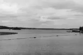 Panorama över timmernot på väg under Strömsunds hängbro. Fotot taget från hängbron.