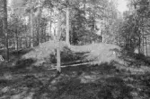 Fornlämning 51. Fornvårdsbesiktning. 