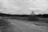 Sporrsjönäsavlägget. Panorama över tomt avlägg.
