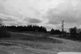 Sporrsjönäsavlägget. Panorama över tomt avlägg.
