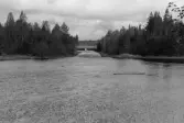 Ededammen, nedifrån med edan.