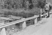 Ovanför Ededammen. Noten lösgjord. Virket på väg nerför fallet.