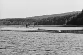 Helgumsjön. Översikt med dykdalber och ledbommar.