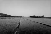Helgumssjön. Fraktbom.