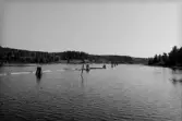 Helgumsjön. Sjöns nedre del. Dykdalber med ledbommar och timmer.