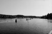 Helgumsjön. Sjöns nedre del. Dykdalber med ledbommar och timmer.