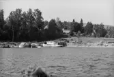 Inspektionstur nedanför Sollefteå kraftverk. Översikt över Ångermanälven.