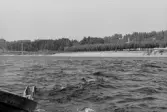 Inspektionstur nedanför Sollefteå kraftverk. Översikt över Ångermanälven.