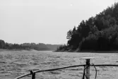 Inspektionstur nedanför Sollefteå kraftverk. Översikt över Ångermanälven.